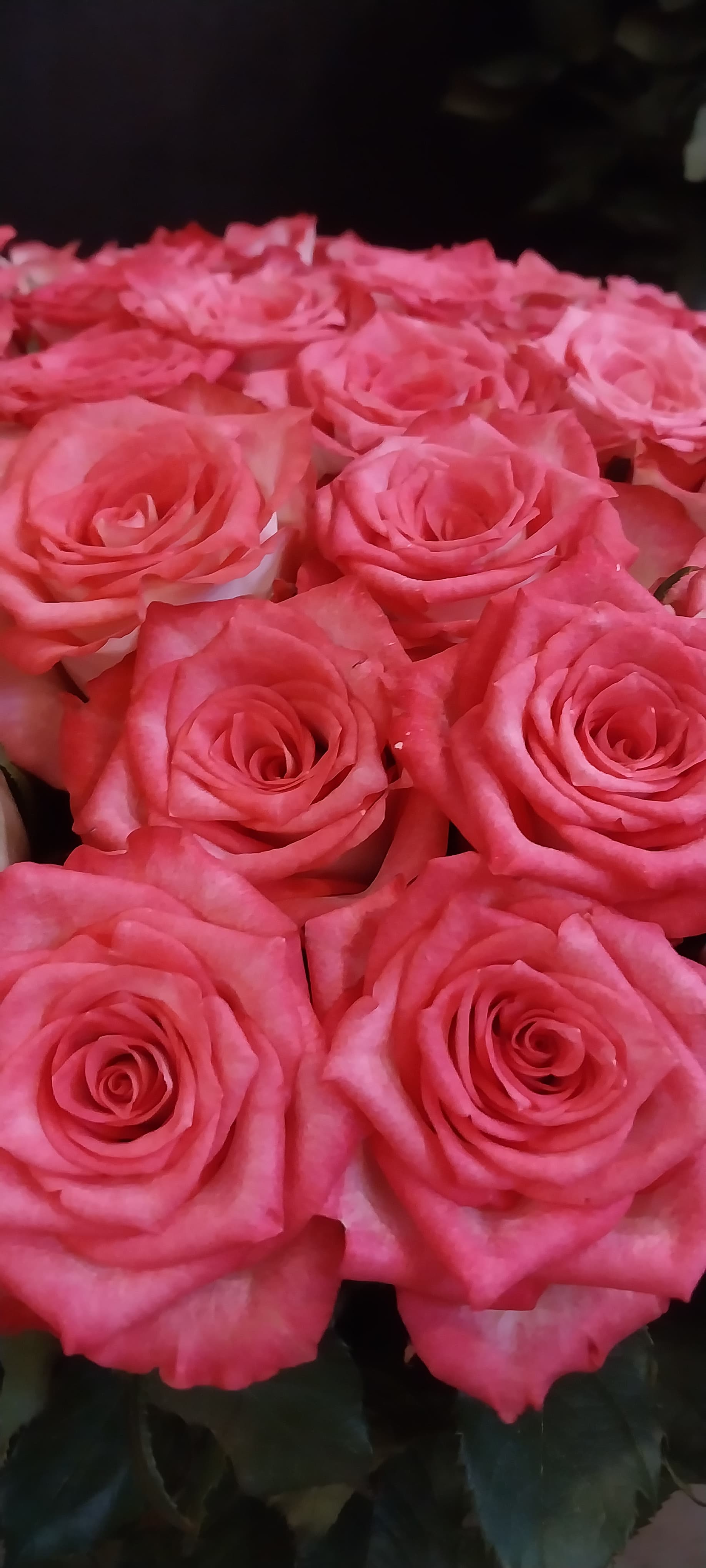 Flower gallery image 10